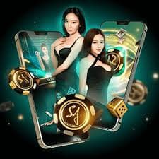 dk7 com